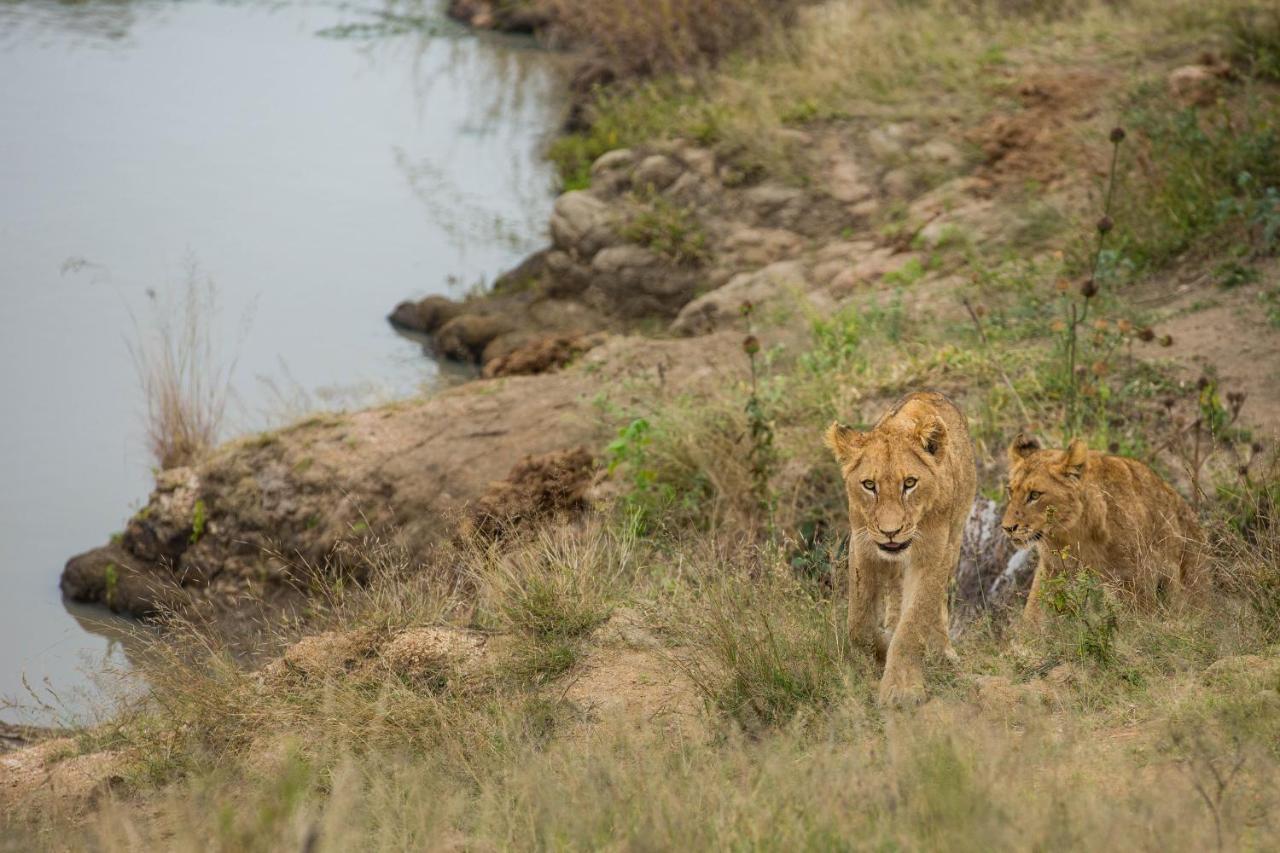 Hamiltons Tented Camp Mluwati Concession Екстериор снимка