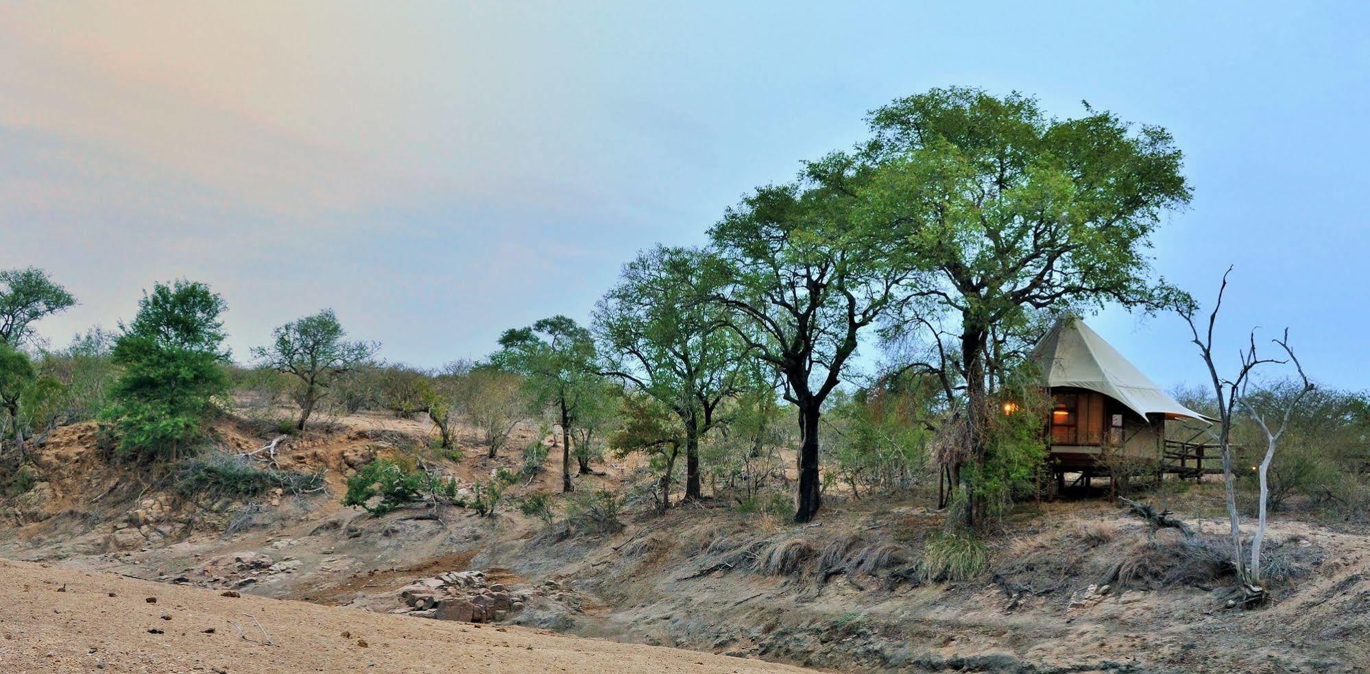 Hamiltons Tented Camp Mluwati Concession Екстериор снимка